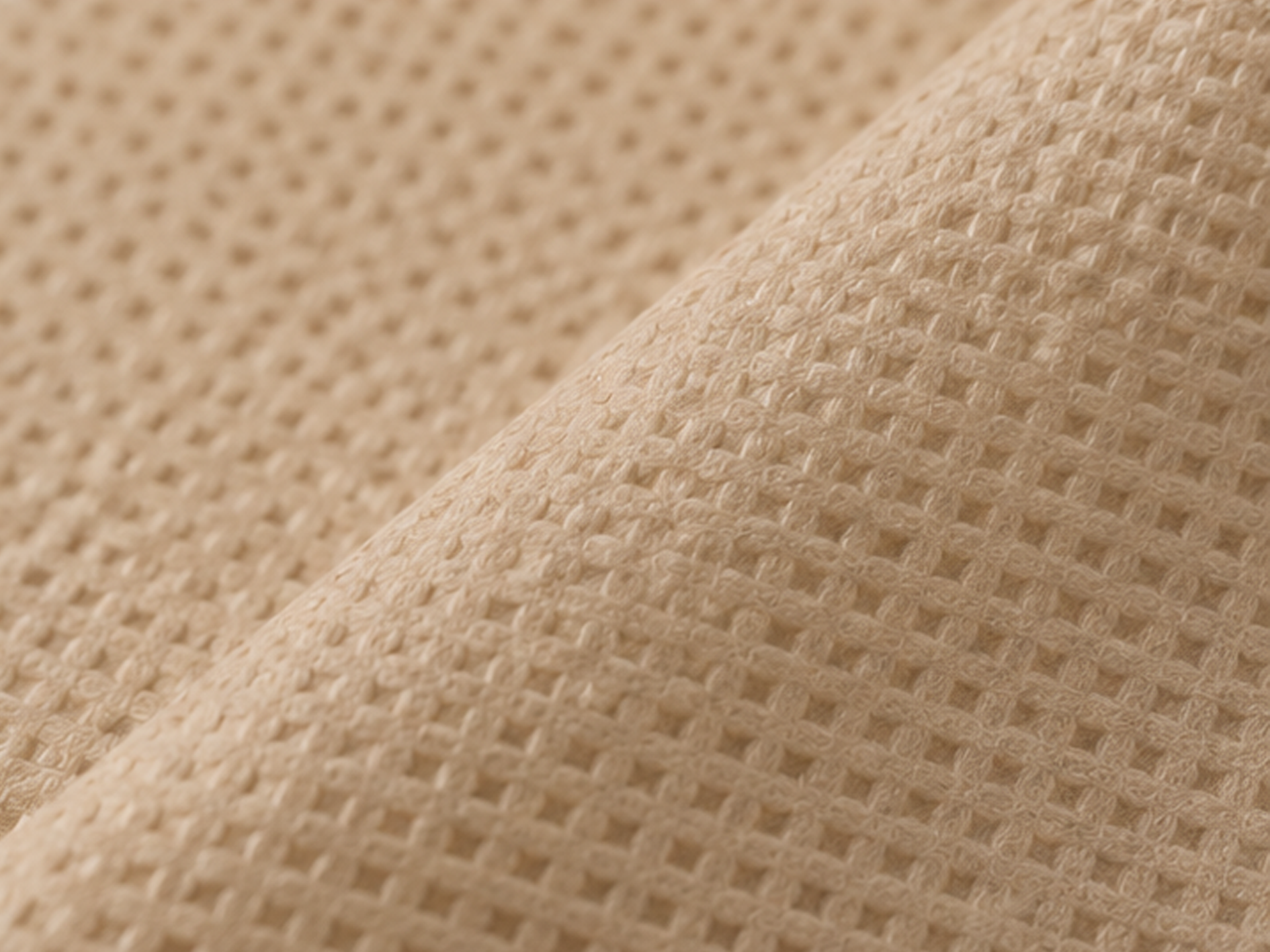 tissue 1